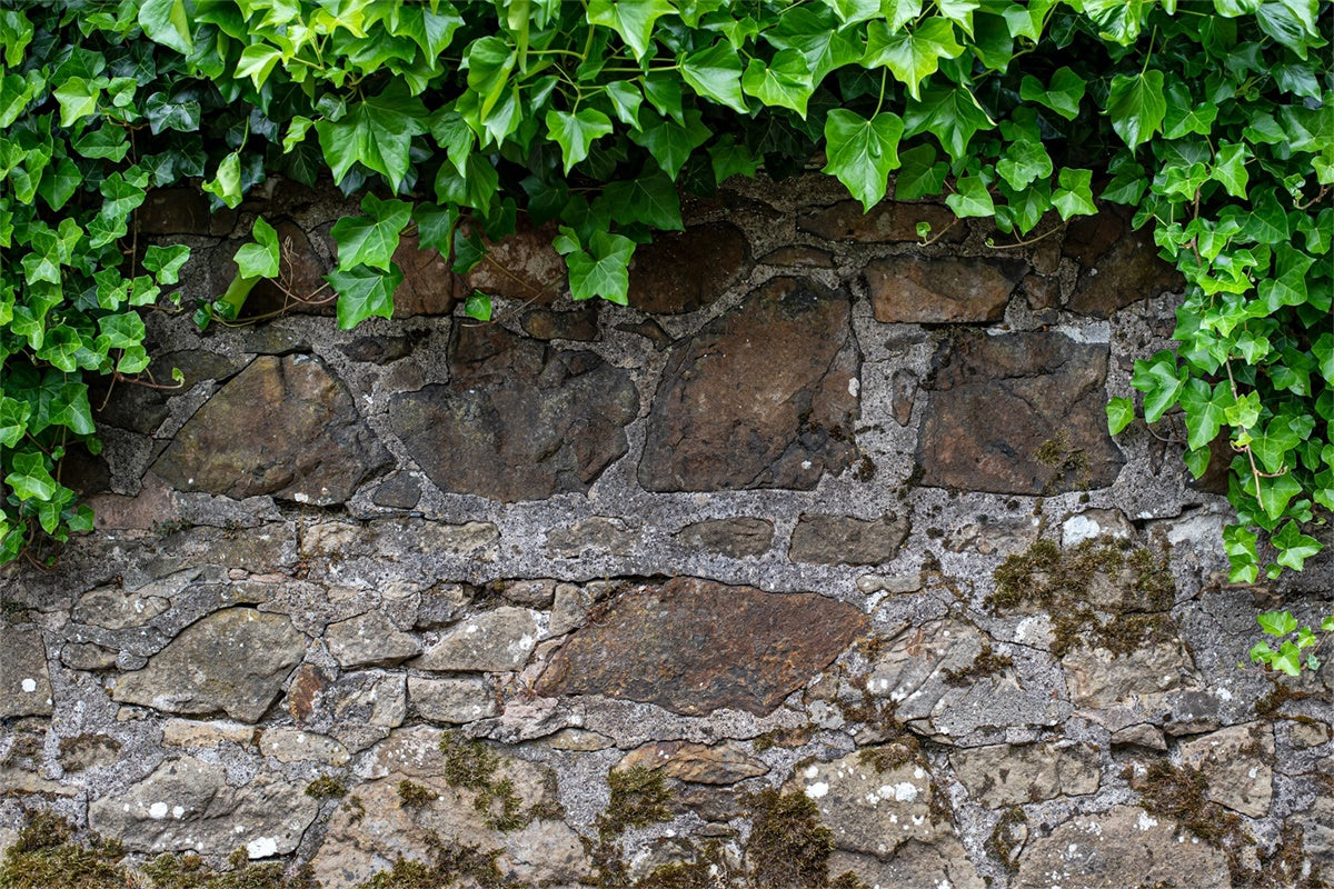 Spring Photography Backdrop Rustic Stone Wall Ivy Backdrop LXX2-70