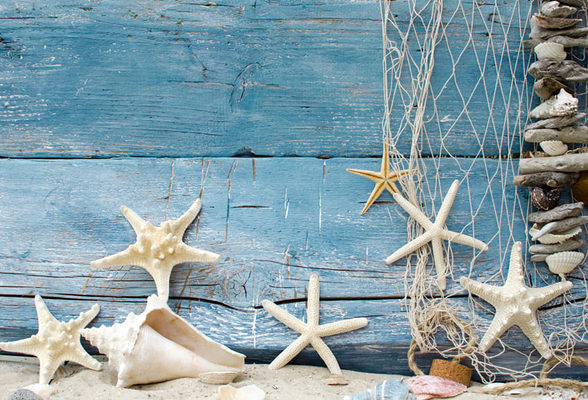 Summer Sandy Beach Starfish Shell Backdrop