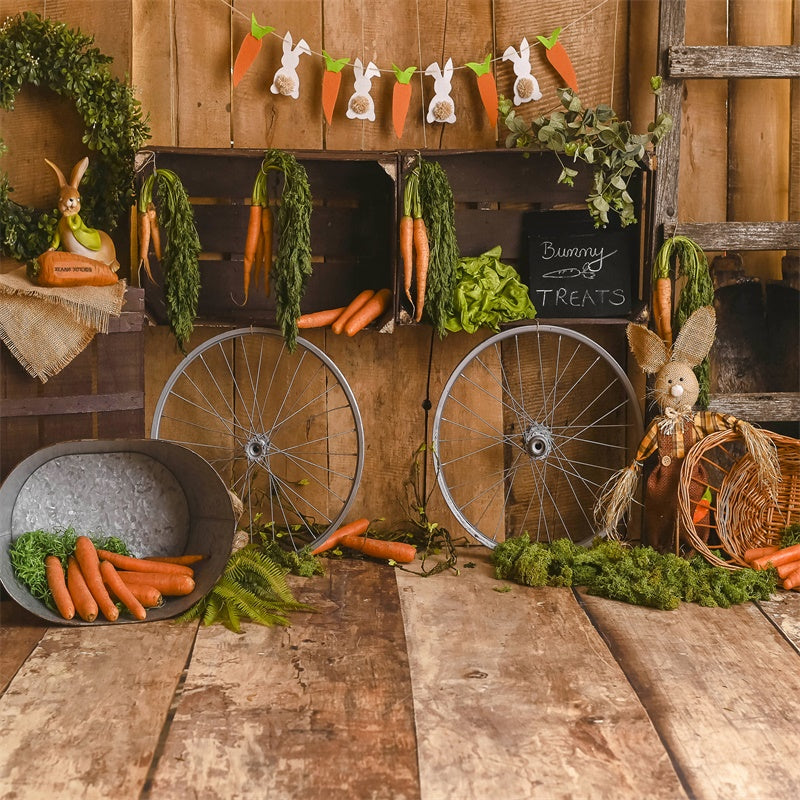 Easter Carrot Shop Wooden Board Decorative Backdrop M1-32