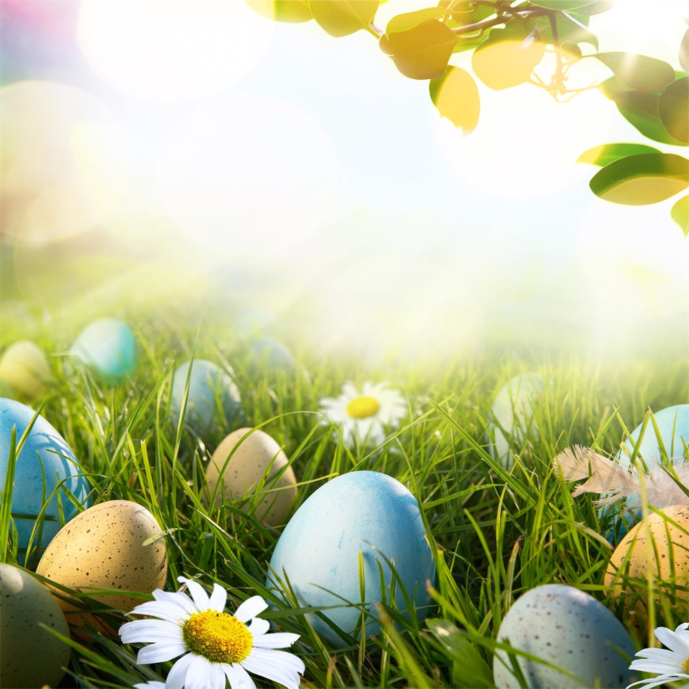 Easter Egg Daisy Sunshine Leaf Lawn Backdrop M1-53