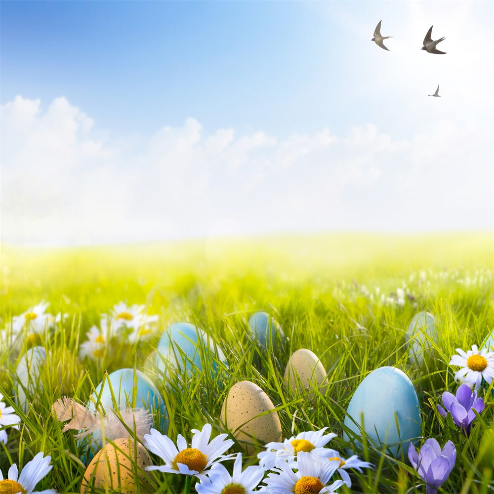 Easter Blue Sky White Clouds Swallow Eggs Green Grass Backdrop M1-57