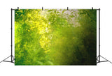 Spring Art Shade Of Green Interlaced Through Sunlight Backdrop M1-61