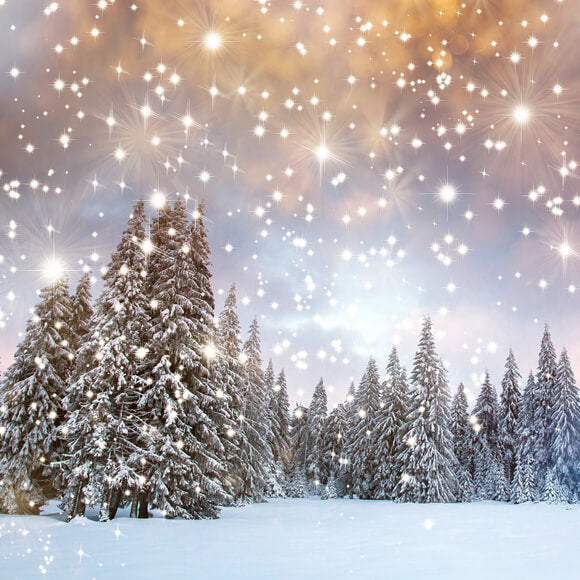 Snow Winter Fir Trees Twinkling Stars Backdrop M10-15