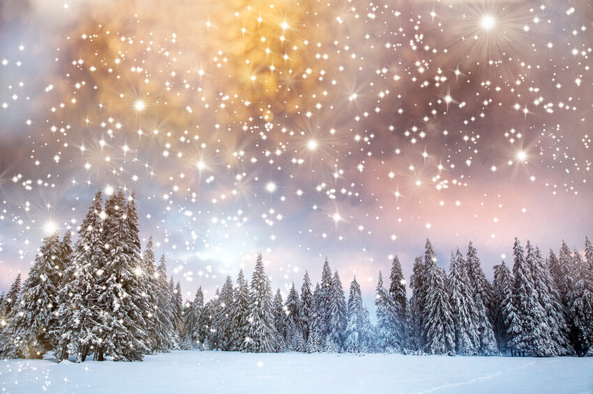 Snow Winter Fir Trees Twinkling Stars Backdrop M10-15 – Dbackdrop