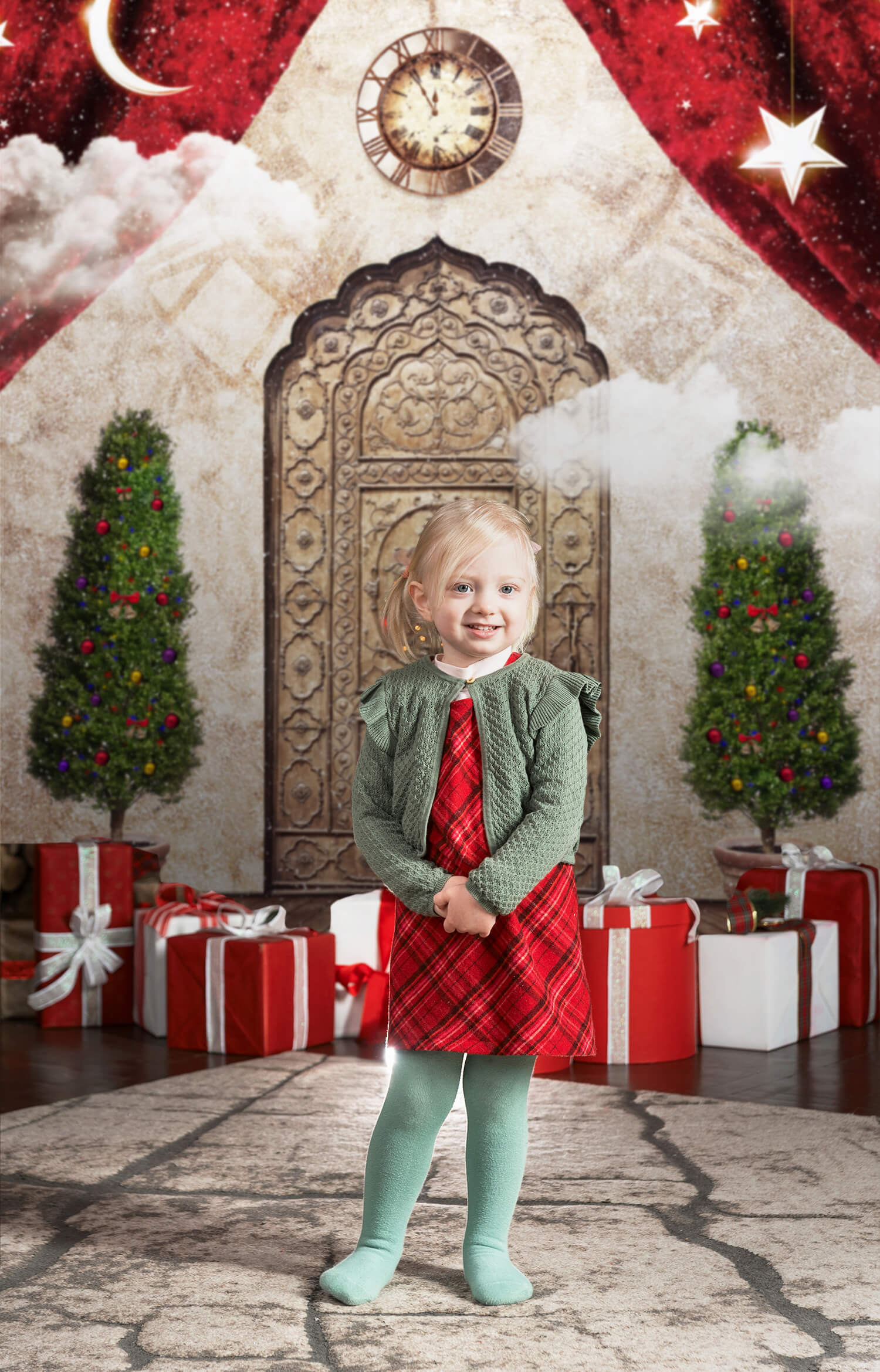 Christmas Wonderland Door Moon Stars Backdrop M10-30