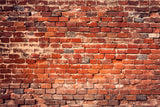 Vintage Red Brick Wall Backdrop for Photography M10-38