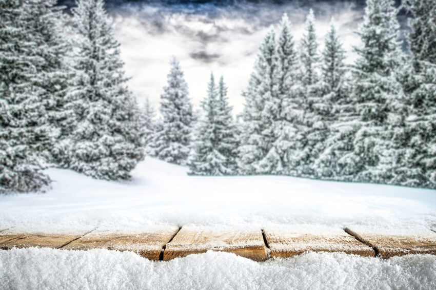 Winter Mountain Forest Snow Scene Backdrop