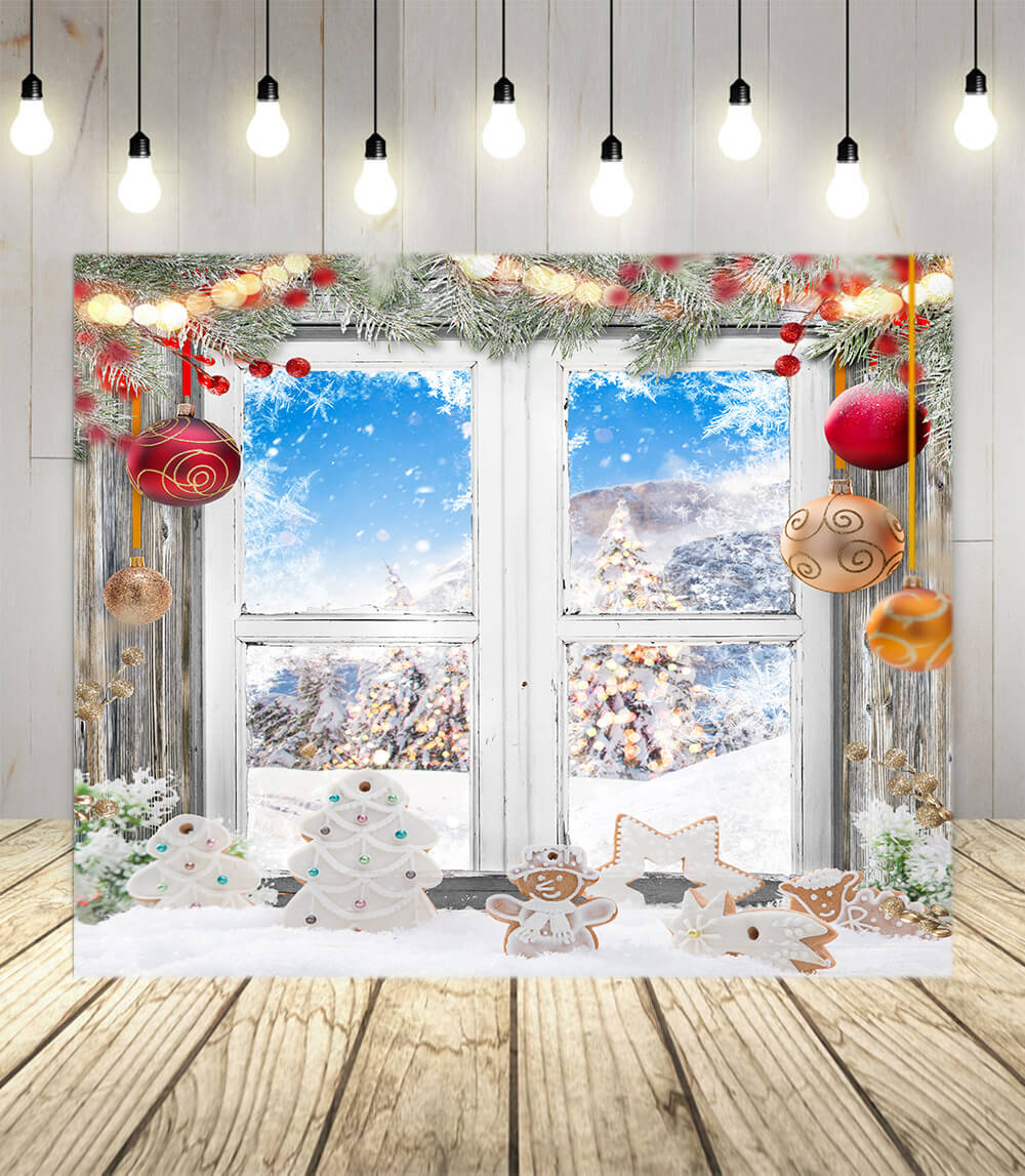 Christmas Decor Window Snow View Backdrop M10-50 – Dbackdrop