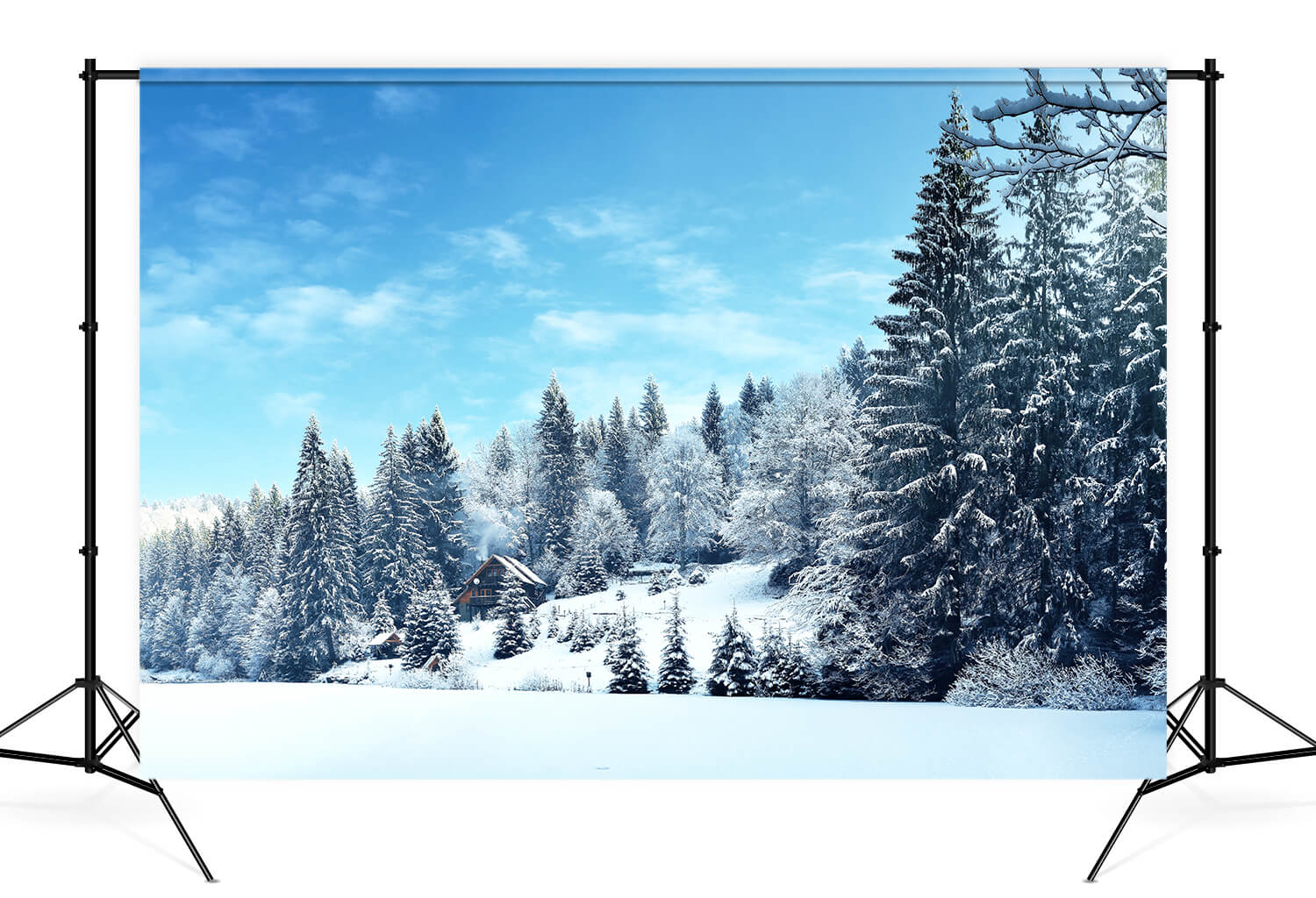 Winter Pine Tree Forest Snow Landscape Backdrop M10-66