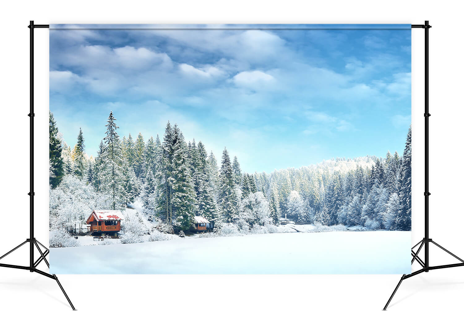 Snowy Winter Forest Village Scenery Backdrop M10-67