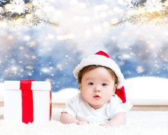 Winter Bokeh Snowflake Fir Branches Backdrop M10-70