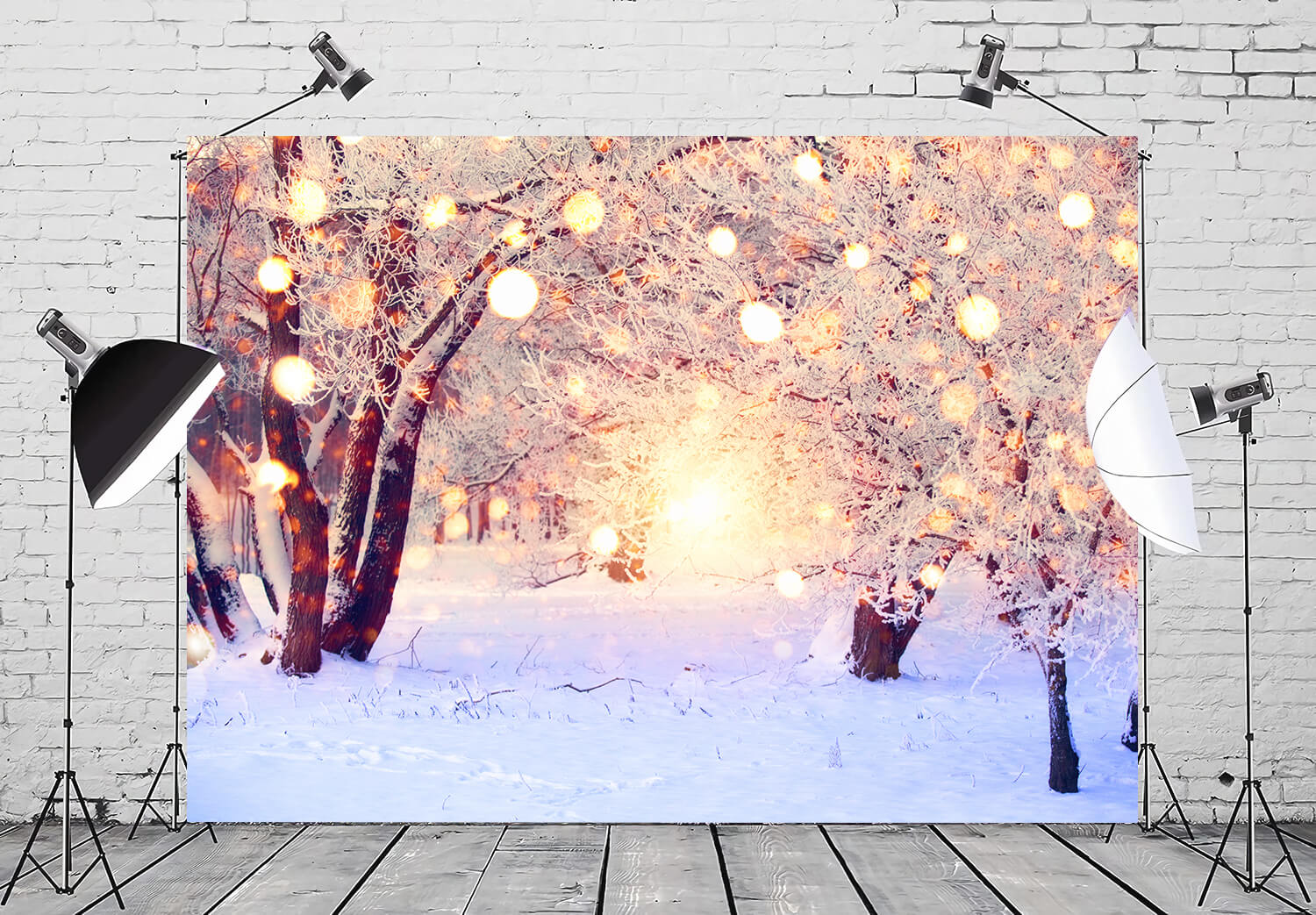 Winter Snow Glitter Lights Photography Backdrop M10-71