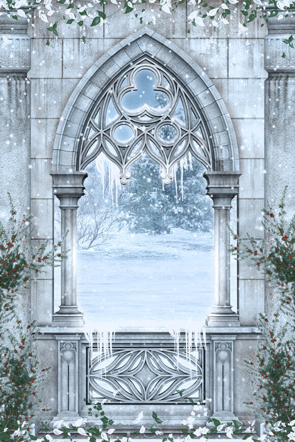 Snowy Winter Fairytale Garden Window Backdrop