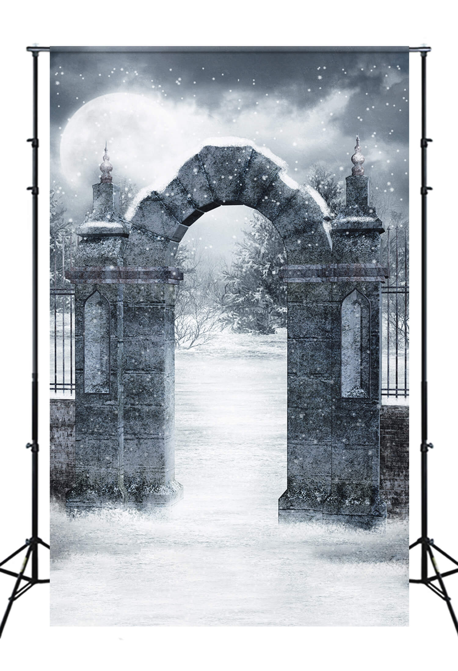 Snowy Gothic Cemetery Gate Winter Backdrop M11-04