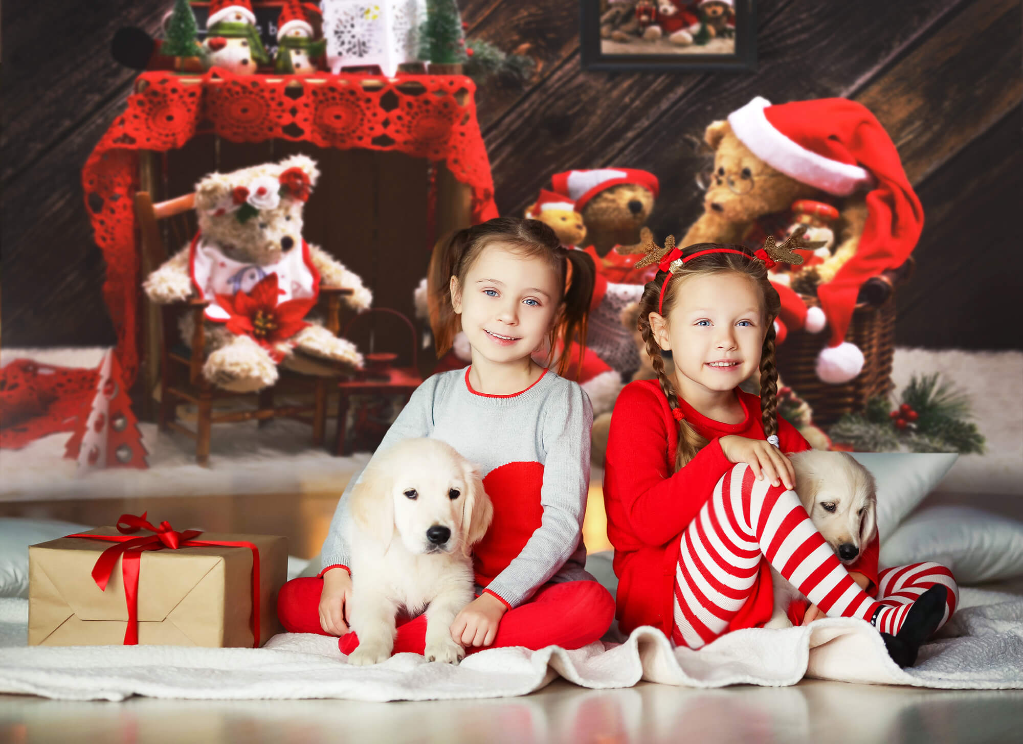 Christmas Teddy Bears Backdrop for Photography M11-08