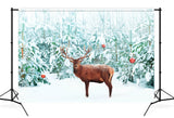 Noble Red Deer Winter Snow Forest Backdrop M11-14