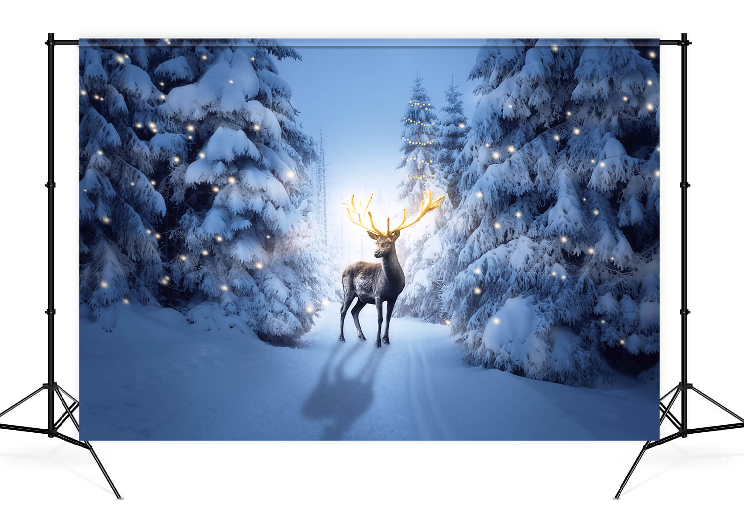 Winter Night Snowy Forest Deer Backdrop M11-15