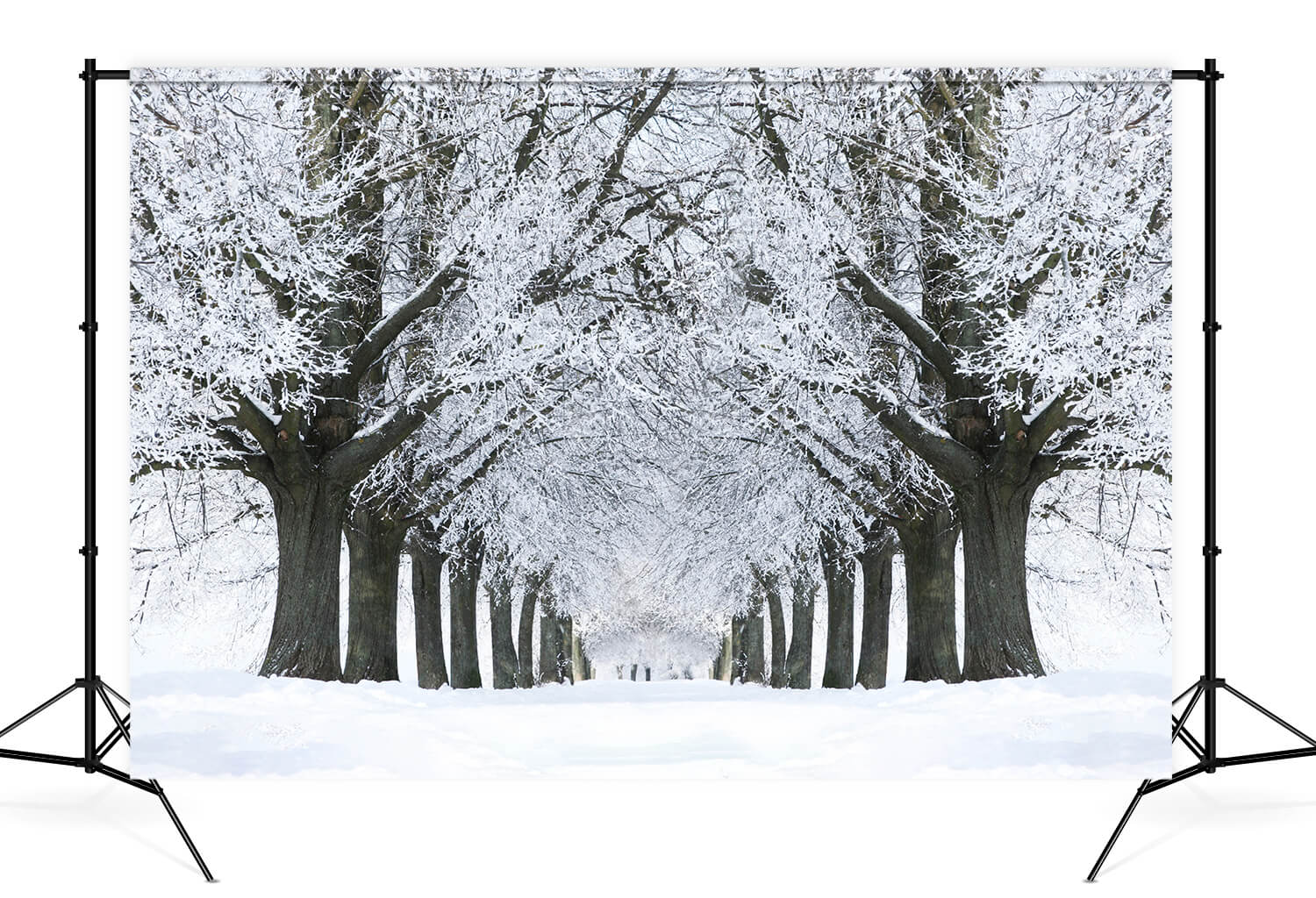 Winter Snowy Road Frozen Trees Backdrop M11-17