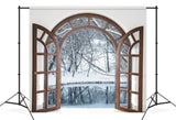 Wooden Arched Window Winter Forest Backdrop M11-24