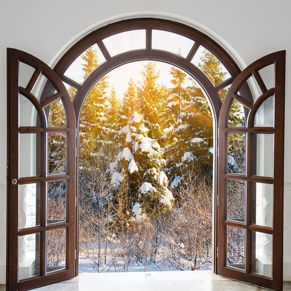 Winter Window Snowy Tree Sunlight Backdrop