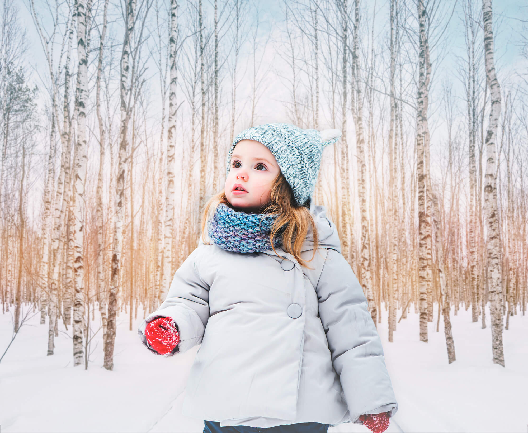 Winter Snowy Forest Park Sunshine Backdrop M11-47