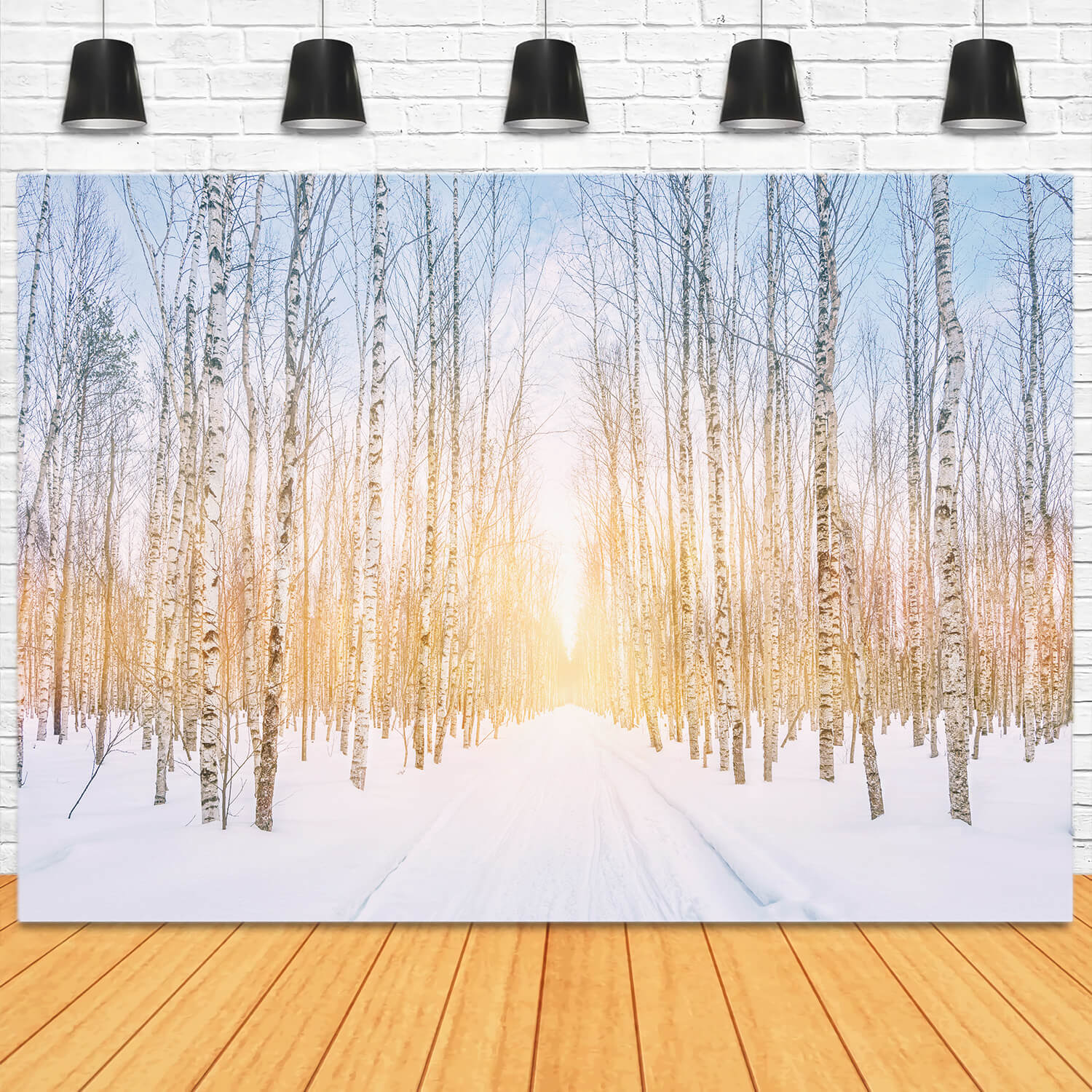 Winter Snowy Forest Park Sunshine Backdrop M11-47