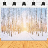 Winter Snowy Forest Park Sunshine Backdrop M11-47