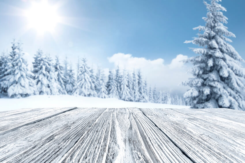 Winter Snowy Tree Woods Landscape Backdrop