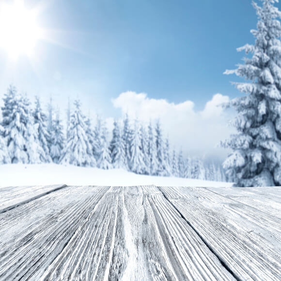 Winter Snowy Tree Woods Landscape Backdrop M11-48