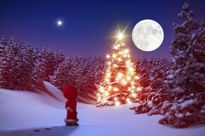 Winter Snowy Forest Night Moon Backdrop