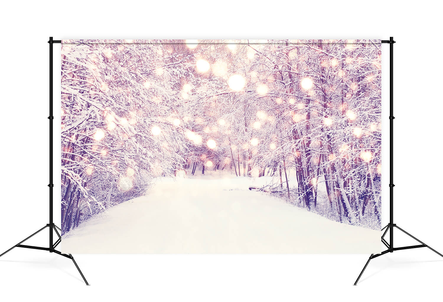 Winter Snowy Forest Path Landscape Backdrop M11-62