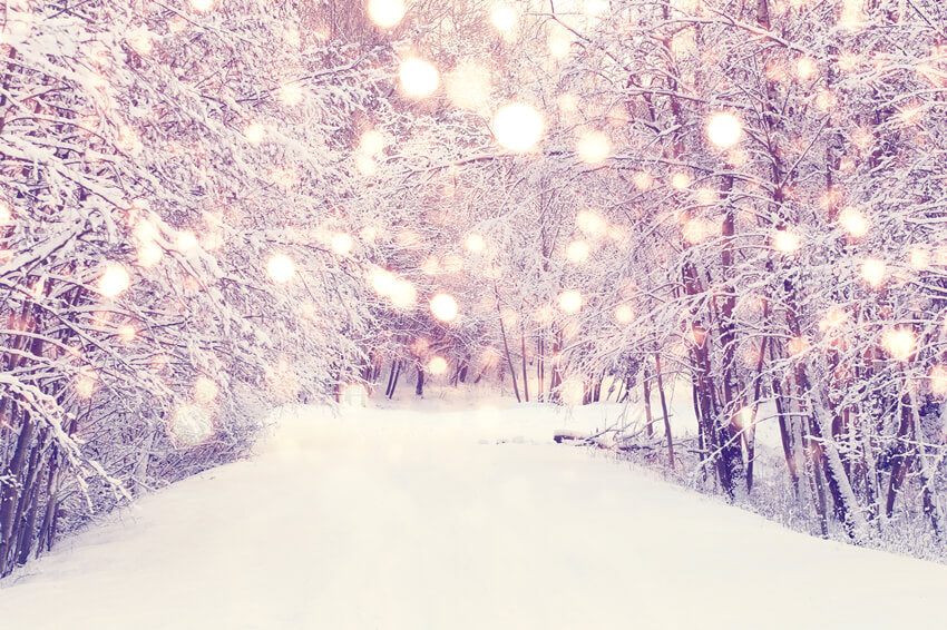 Winter Snowy Forest Path Landscape Backdrop