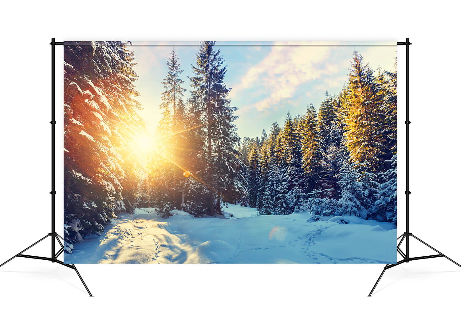 Winter Forest Snow Sunshine Scenery Backdrop M11-63