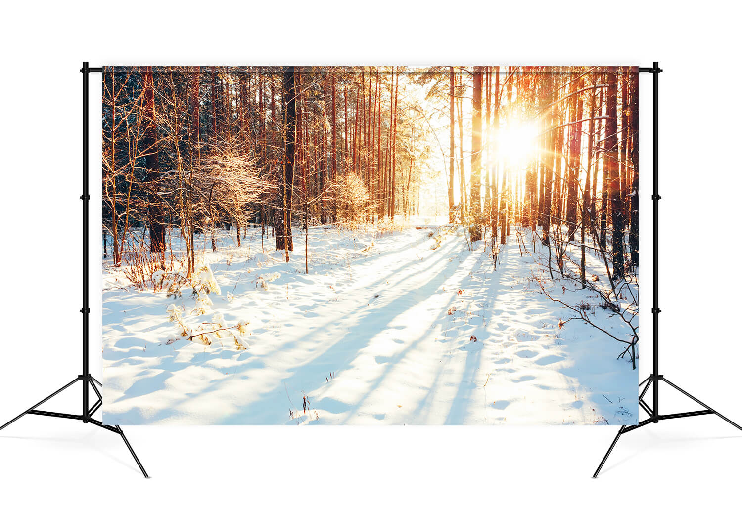 Winter Forest Path Sunlight Snow Backdrop M11-64