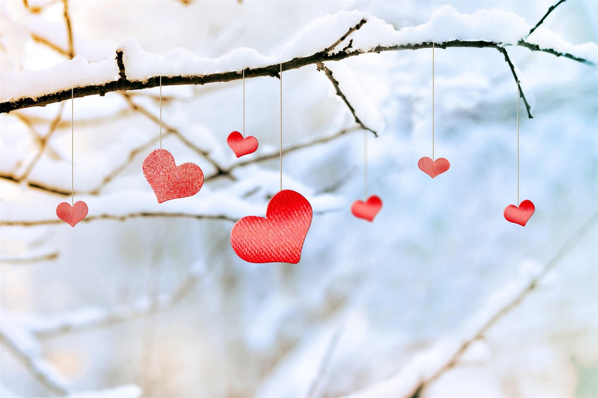 Valentine's Day Winter Snowy Tree Branch Love Hanging Decoration Backdrop M12-17