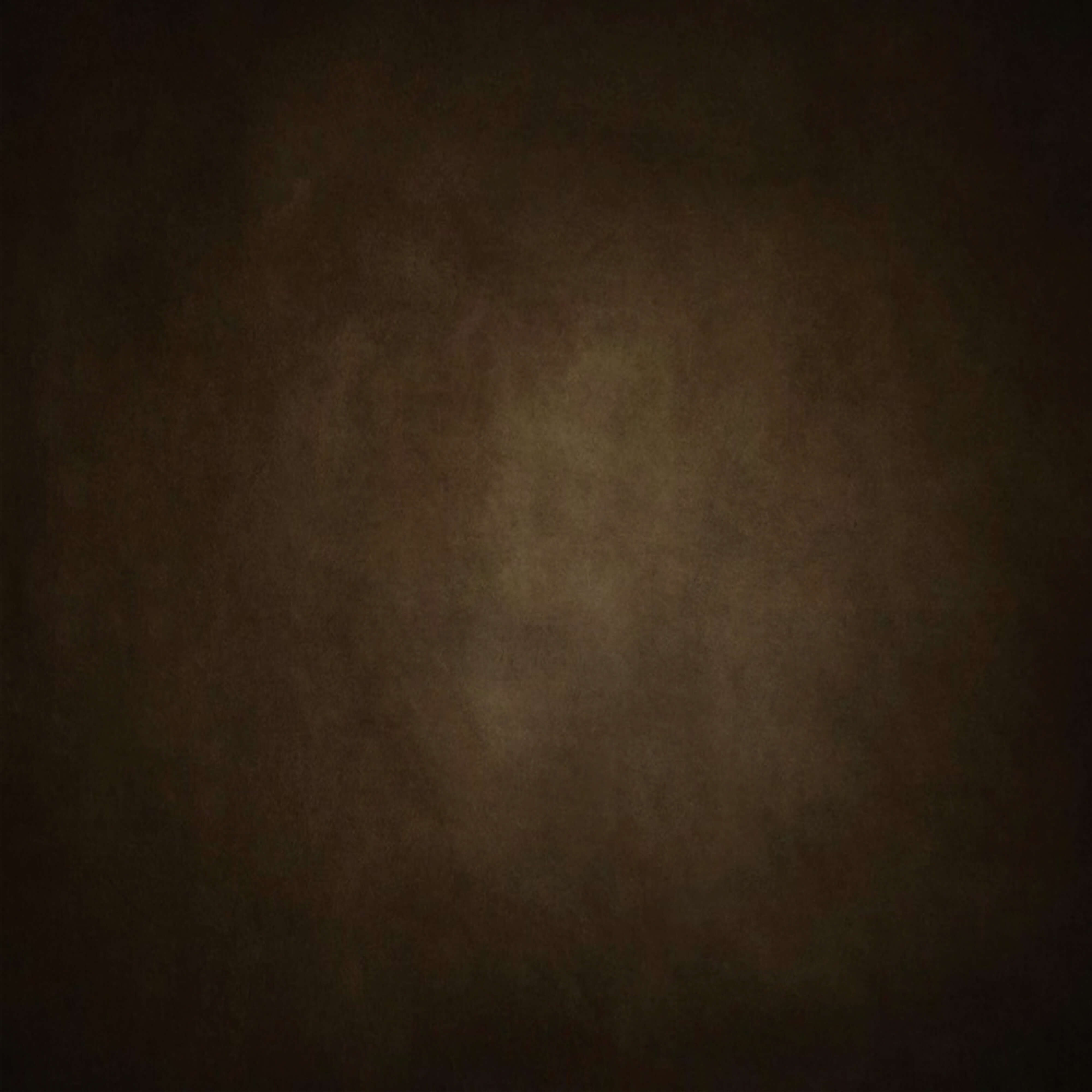 Abstract Velvet Brown Backdrop for Studio Photography M2-08