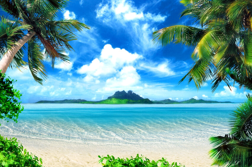 Tropical Seaside Sand Beach Summer Backdrop M5-101