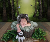 Mythical Forest Butterflies Magic Light Backdrop M5-159