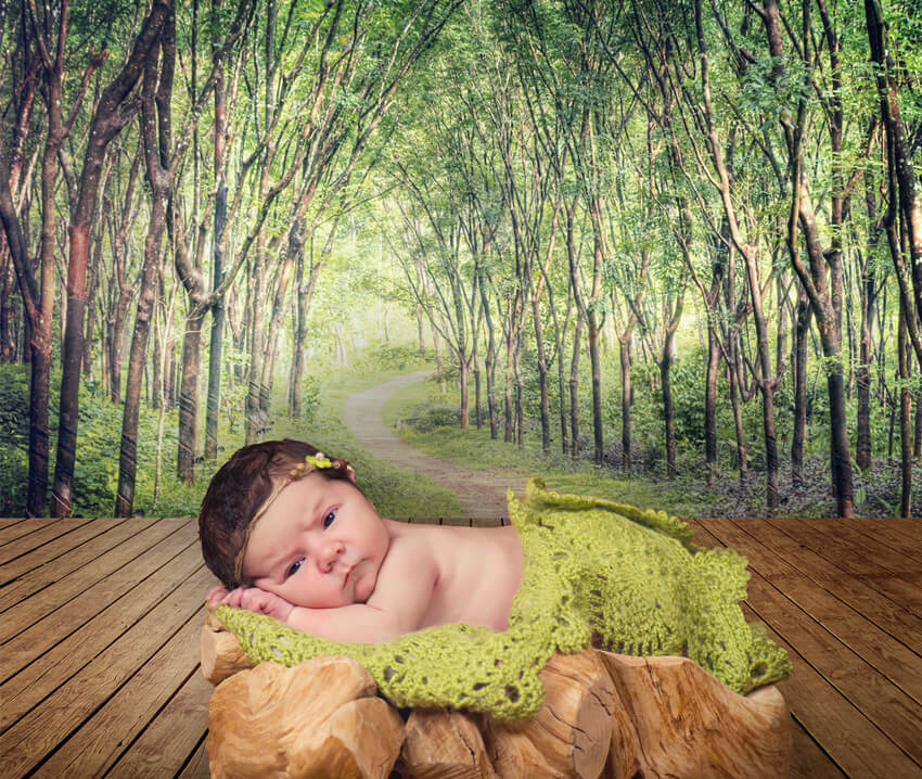 Enchanting Forest Lane Trees Wood Floor Backdrop M5-161