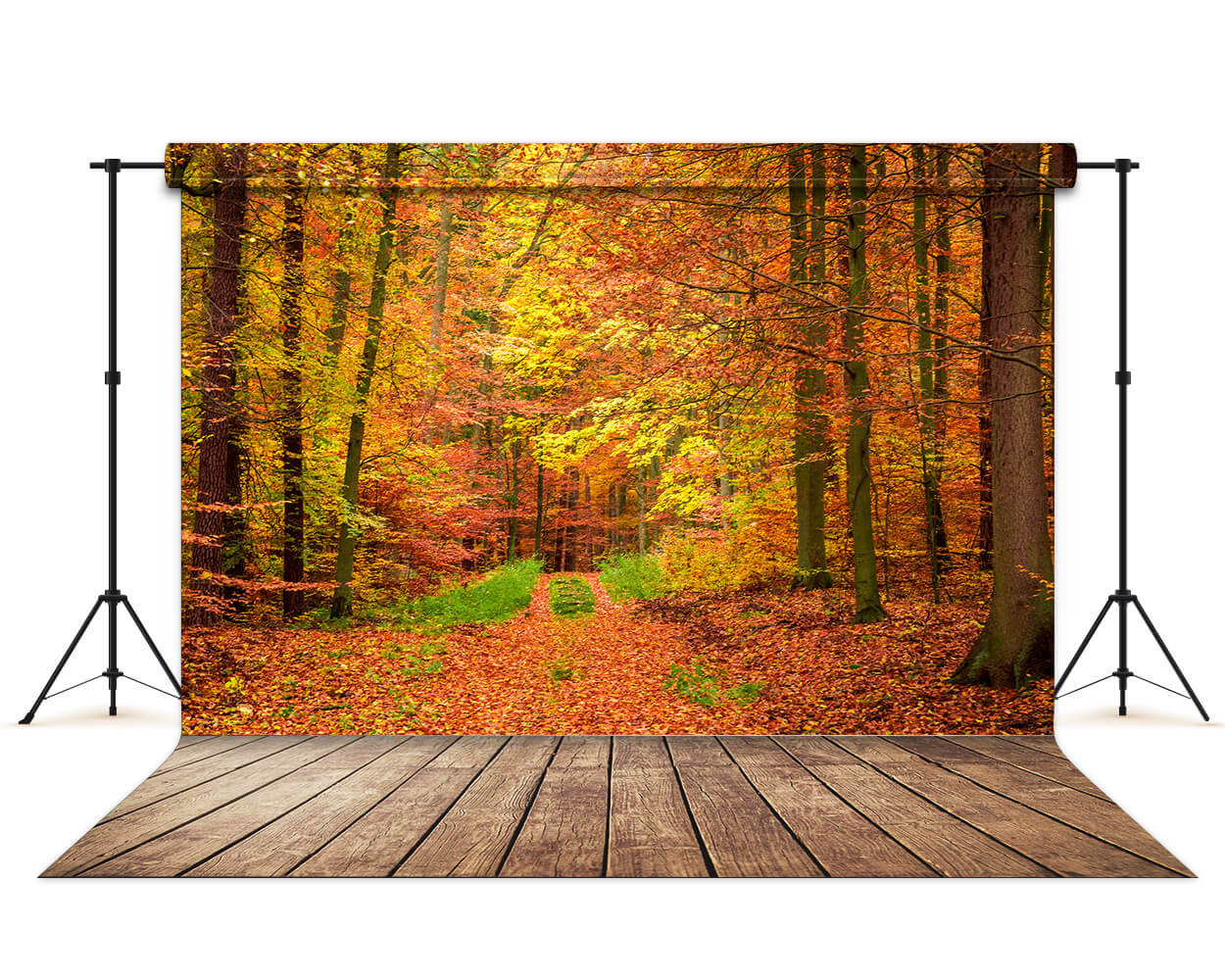 Autumn Forest Maple Trees Photography Backdrop M6-100 – Dbackdrop