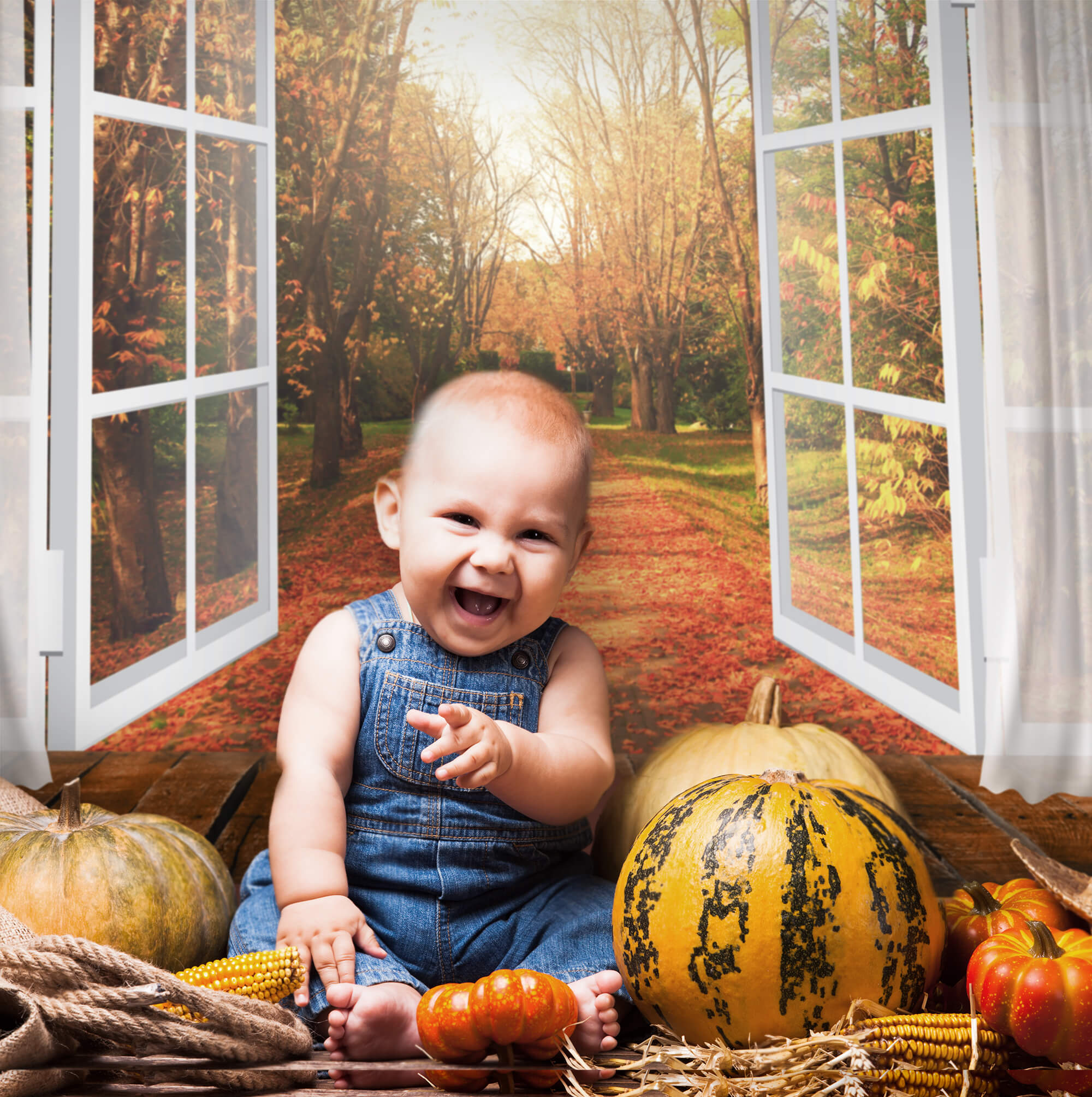 Autumn Window View Maple Leaves Backdrop M6-101