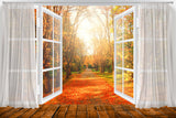 Autumn Window View Maple Leaves Backdrop