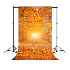 Autumn Forest Sunshine Maple Trees Backdrop M6-104