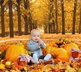 Autumn Landscape Alley Trees Sunlight Backdrop M6-105