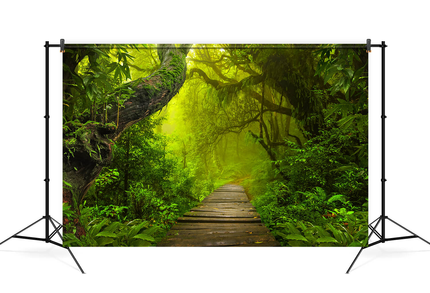 Tropical Rainforest Jungle Photography Backdrop 