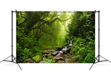 Jungle Forest Landscape Photo Booth Backdrop M6-121