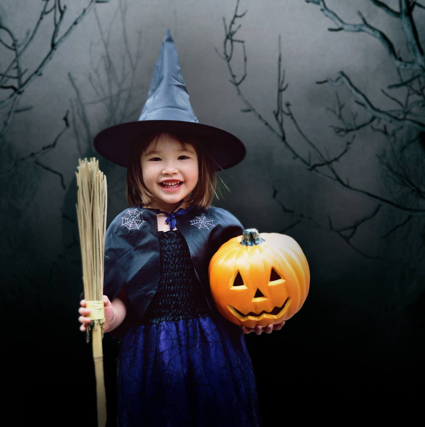 Spooky Tree Night Mist Halloween Backdrop M6-133 – Dbackdrop