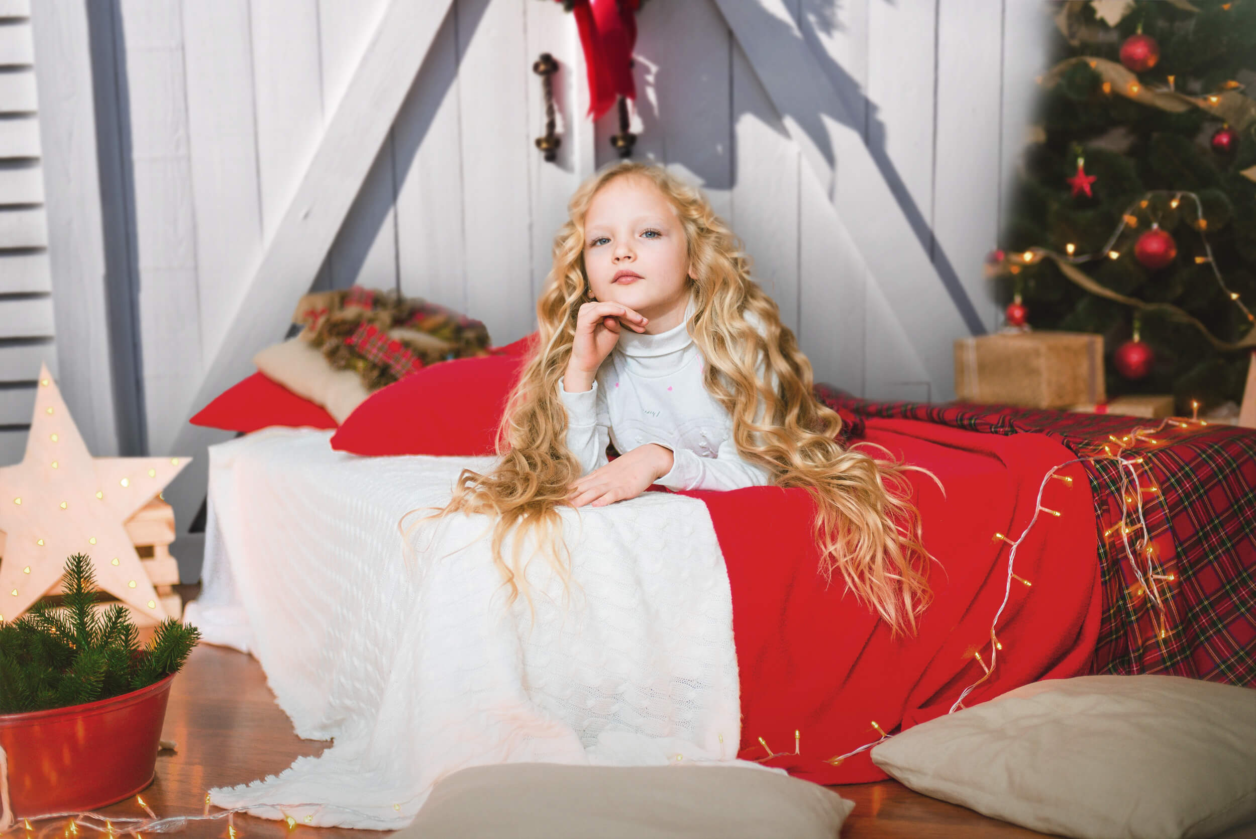 Christmas Wreath On Wooden Barn Door Backdrop M6-152