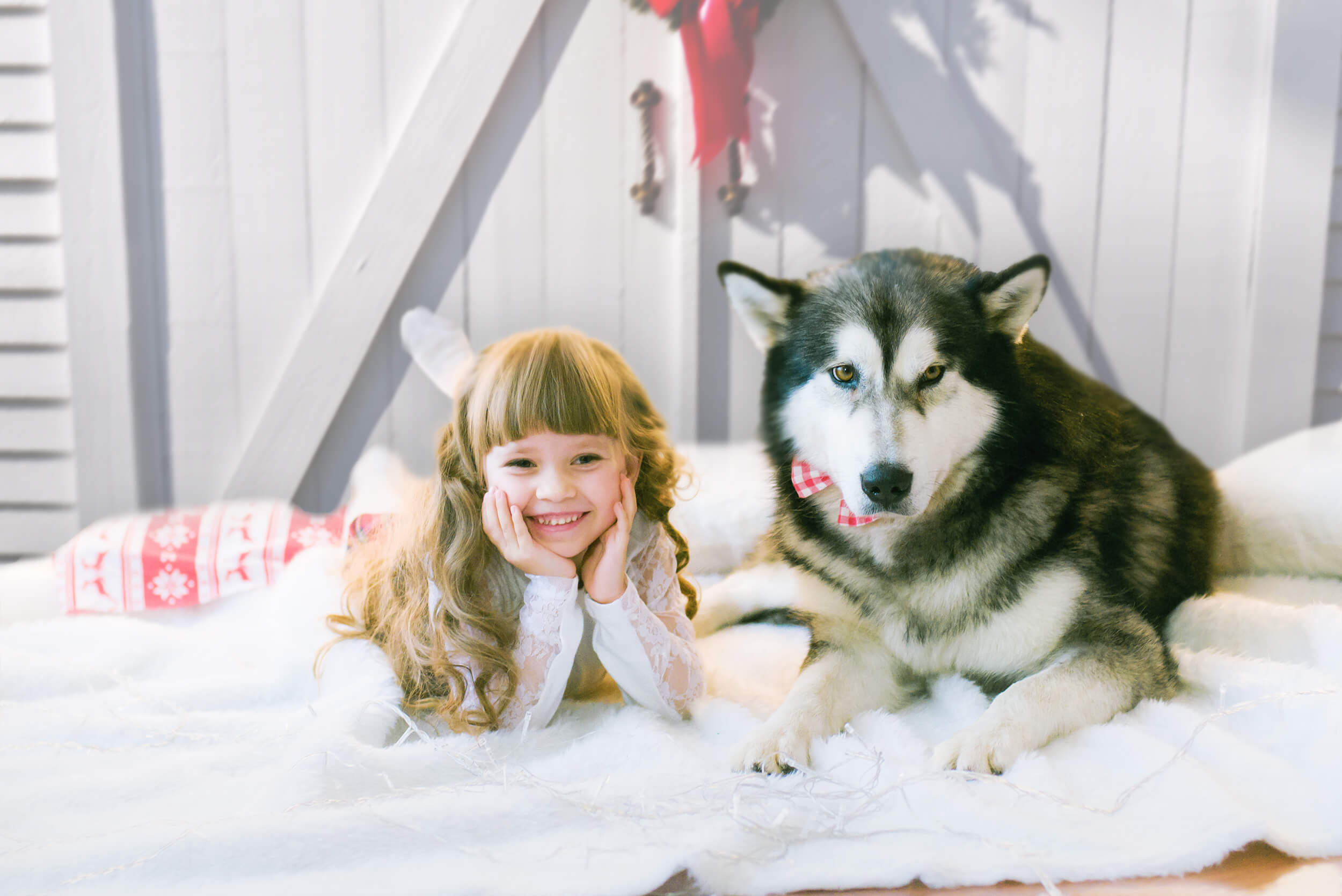 Christmas Wreath On Wooden Barn Door Backdrop M6-152