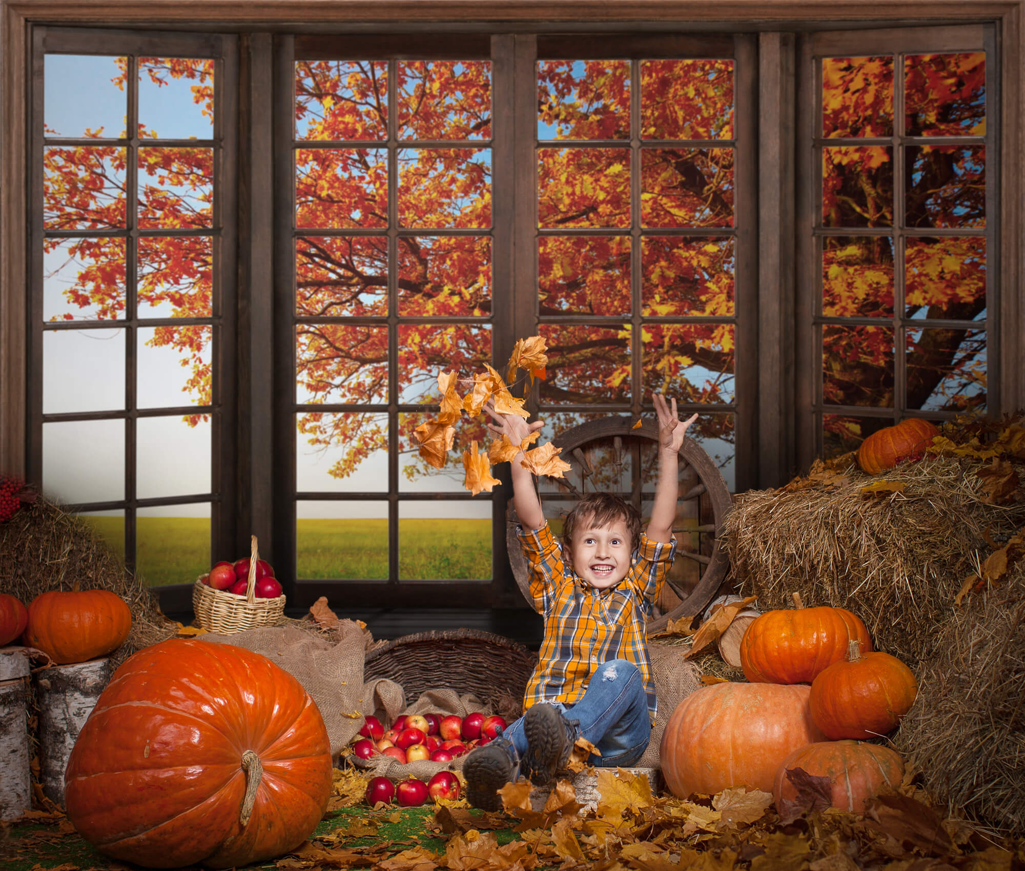 Autumn Marple Leaves Window View Backdrop M6-40